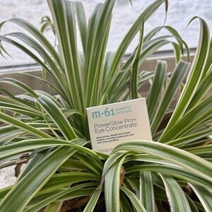M-61 PowerGlow Pro+ Eye Concentrate NIB